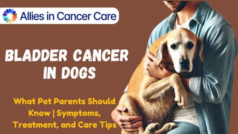 Bladder Cancer in Dogs